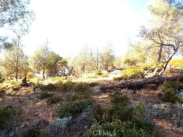 10070 El Capitan Way, Kelseyville, CA 95451 - #1