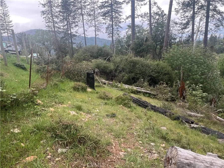 11210 Greenaway Court, Cobb, CA 95426 - #2