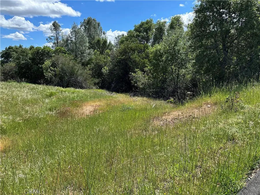 12361 Cerrito, Clearlake Oaks, CA 95423 - #2