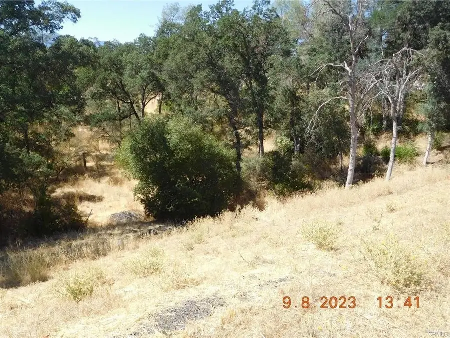 15466 Palm Avenue, Clearlake, CA 95422 - #3