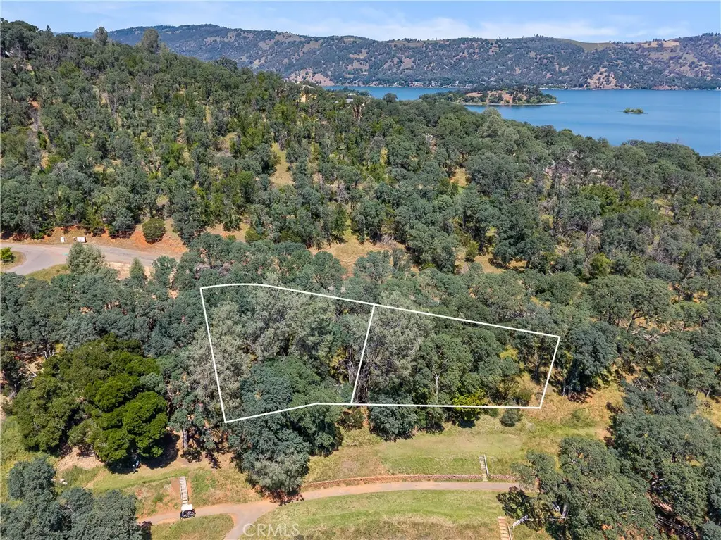 8239 Little Borax Lake Rd, Kelseyville, CA 95451 - #1
