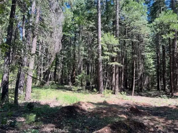 0 Eastwood Way, Shingletown, CA 96088