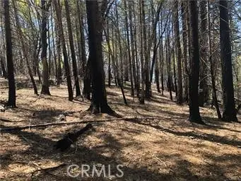 7097 High Valley, Lucerne, CA 95458