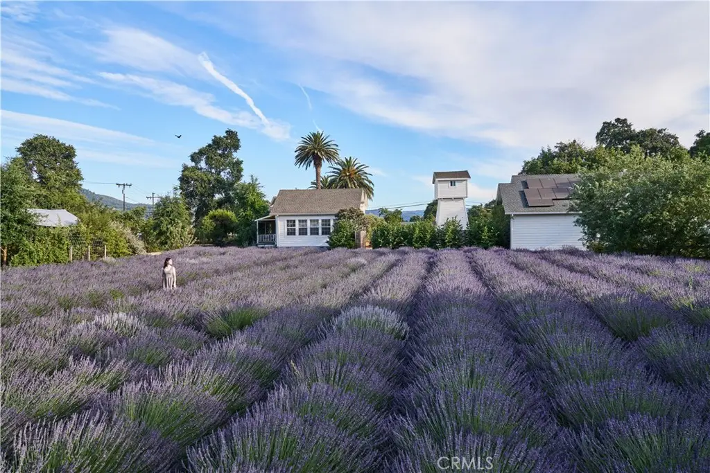 4550 Soda Bay, Kelseyville, CA 95451 - #1