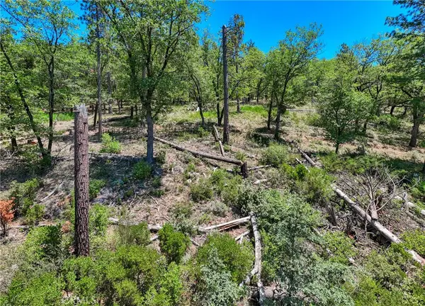 12548 Observation Road, Middletown, CA 95461