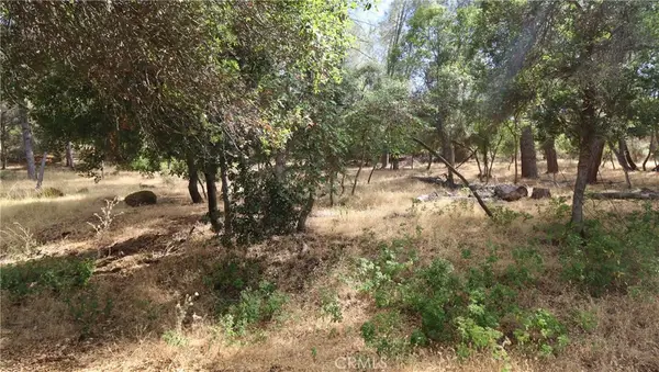 10465 Boren Bega Drive, Kelseyville, CA 95451