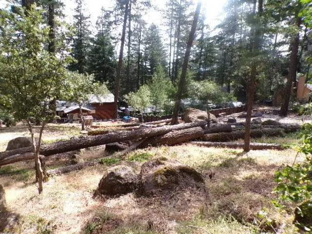 8020 Soda Bay Road, Kelseyville, CA 95451 - #2