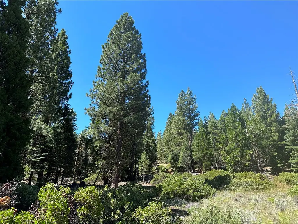 1 Canyon Creek Rd, California Pines, CA 96101 - #1