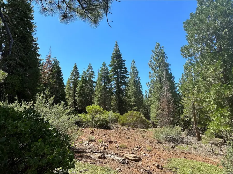 1 Canyon Creek Rd, California Pines, CA 96101 - #3