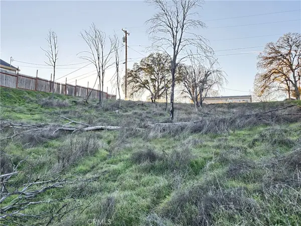 17150 Deer Park, Lower Lake, CA 95457