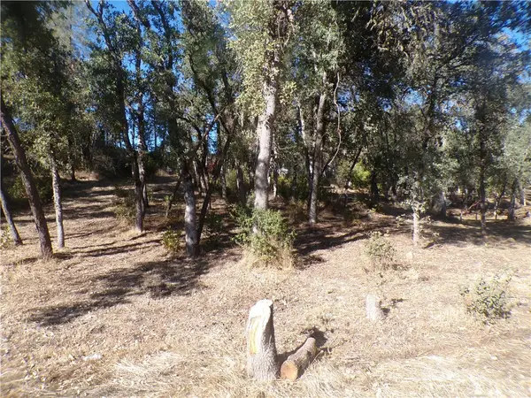 15608 36th Avenue, Clearlake, CA 95422