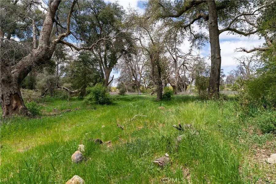 29972 Chihuahua Valley Road, Warner Springs, CA 92086 - #3