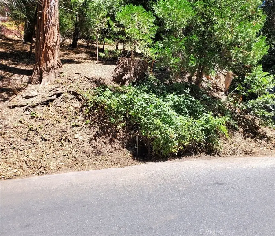 0 Basel Dr, Crestline, CA 92325 - #3