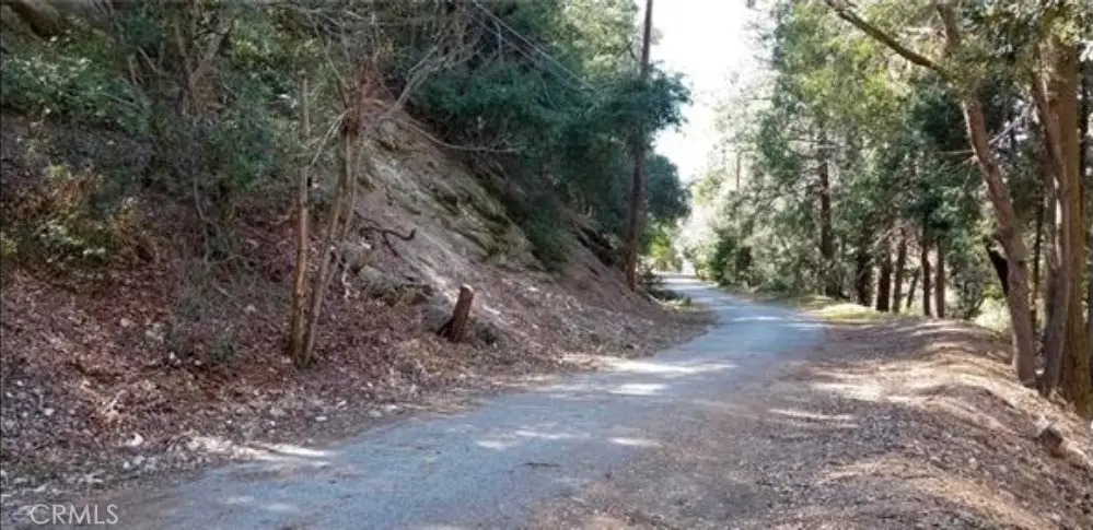731 Jewel Drive, Crestline, CA 92325 - #1
