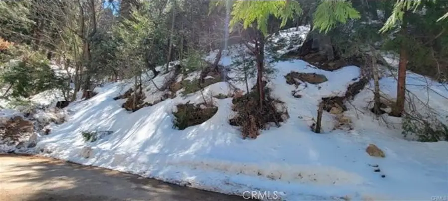 731 Jewel Drive, Crestline, CA 92325 - #3