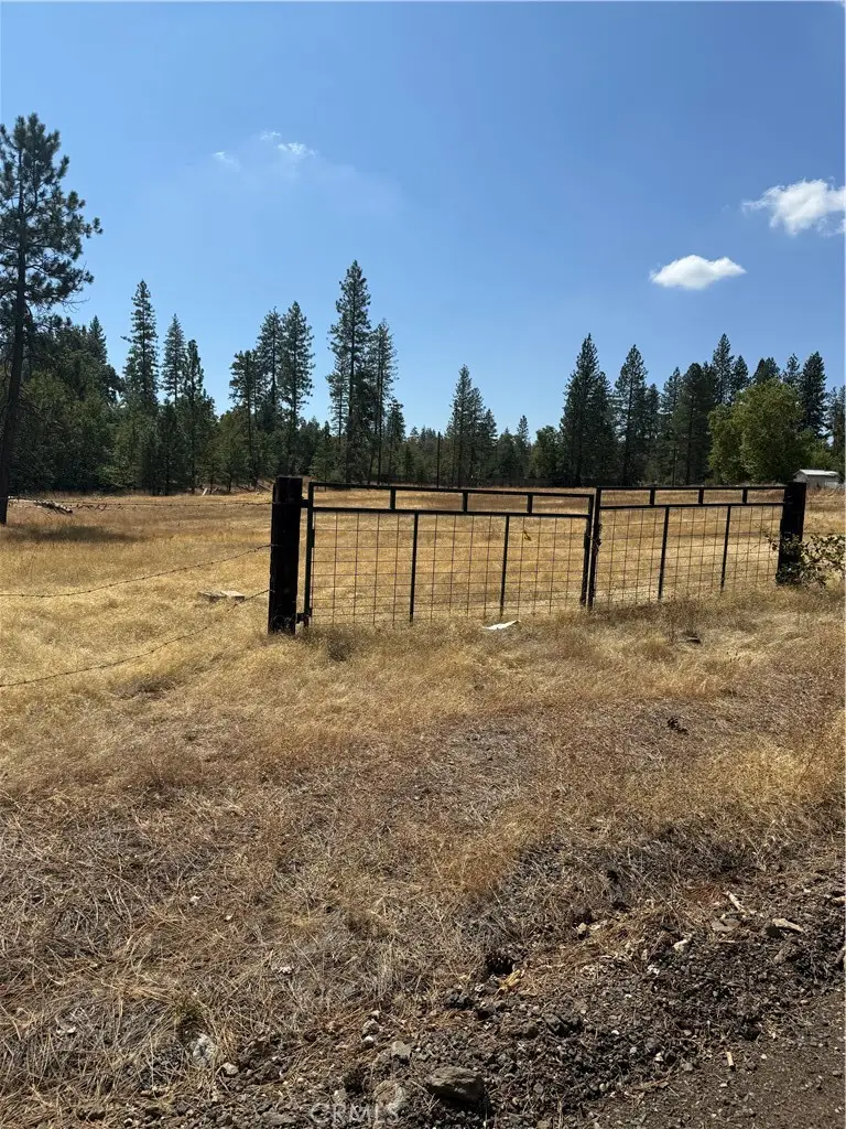 6479 Pine Drive, Coulterville, CA 95311 - #1