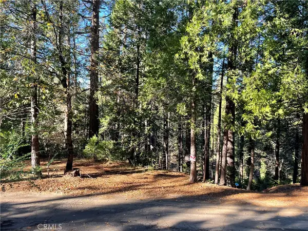 22447 Ponderosa Drive, Twain Harte, CA 95383