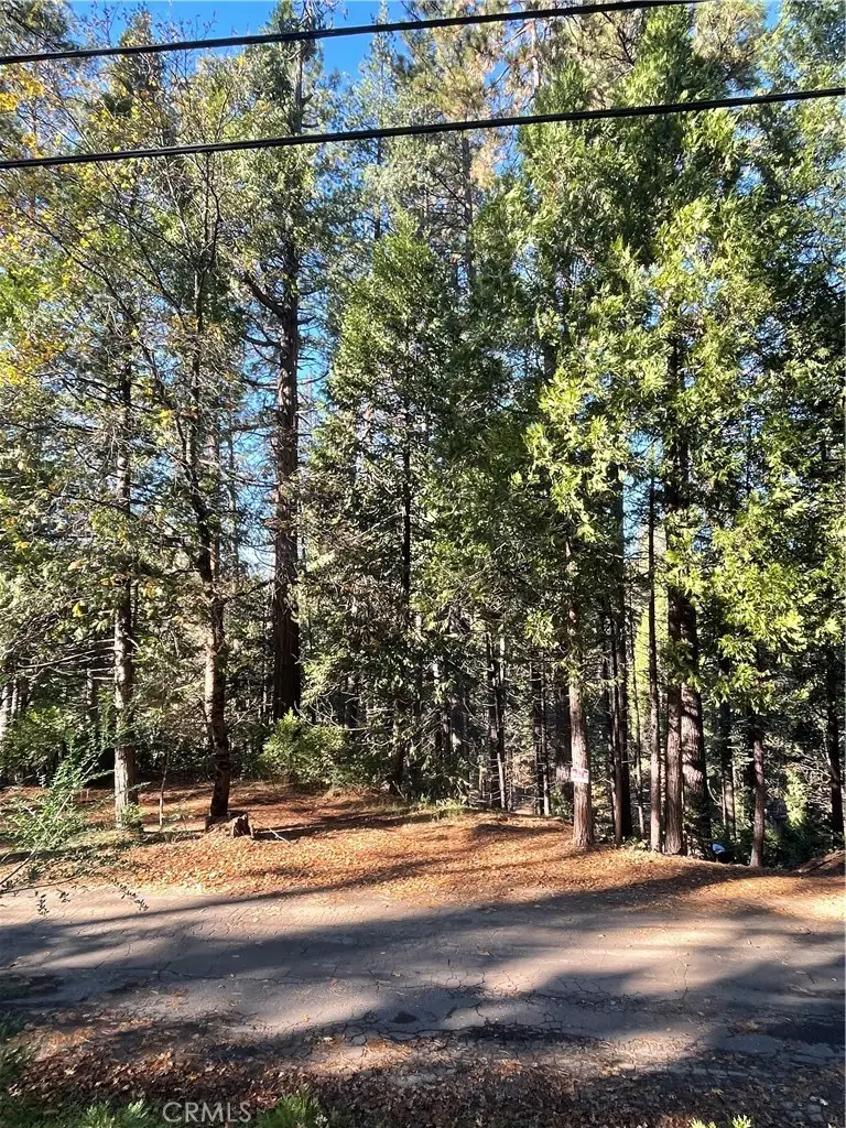 22447 Ponderosa Drive, Twain Harte, CA 95383 - Image #2