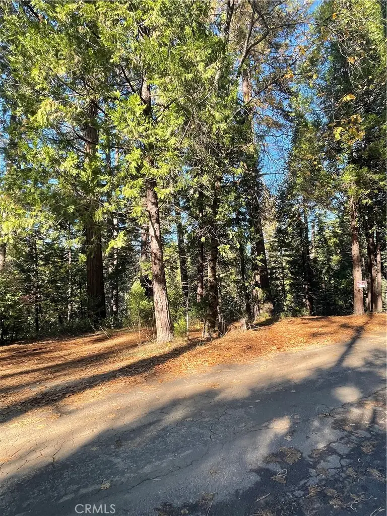 22447 Ponderosa Drive, Twain Harte, CA 95383 - Image #3