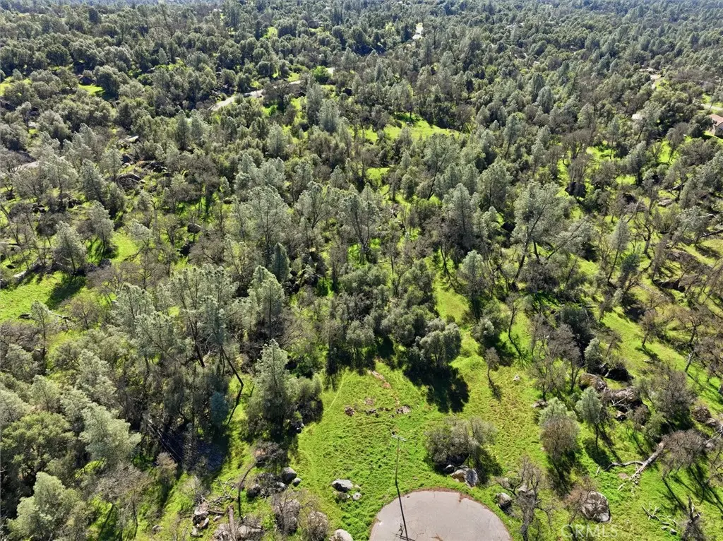4251 Burl, Mariposa, CA 95338 - #1