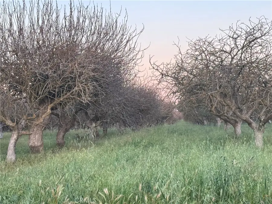 0 Road 30, Madera, CA 93638 - #3