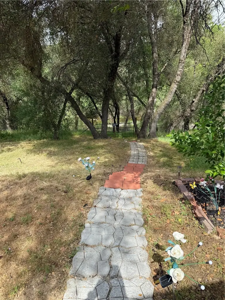 31578 Road 400, Coarsegold, CA 93614 - #3