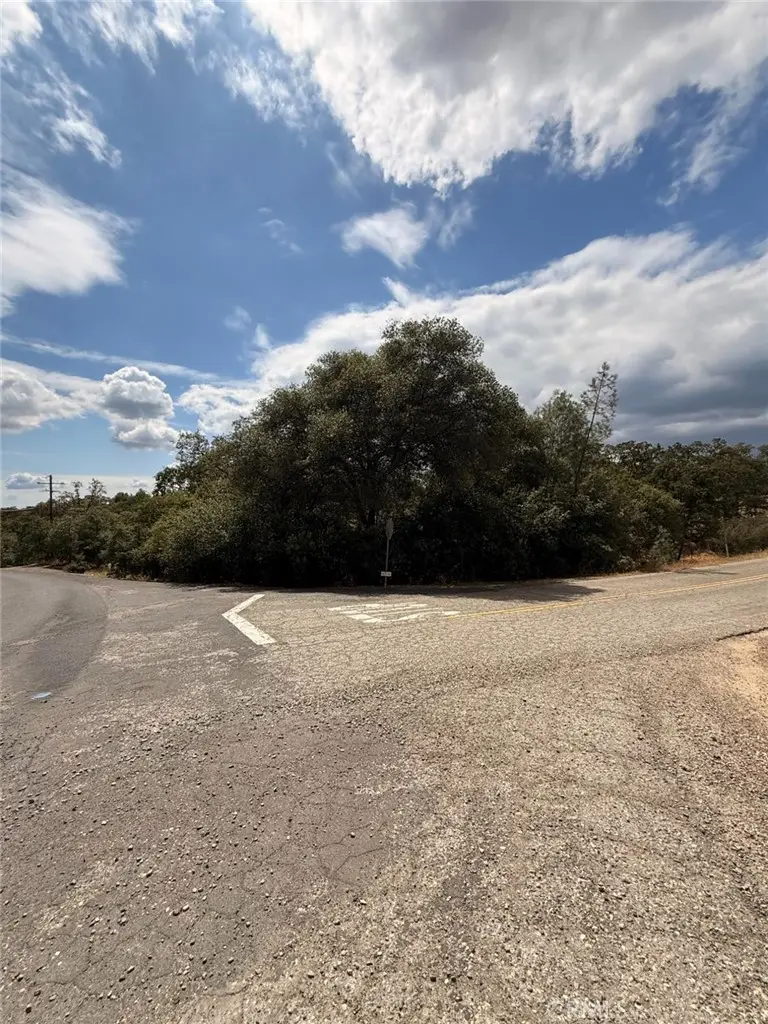 10357 Tulipan, Coulterville, CA 95311 - #1