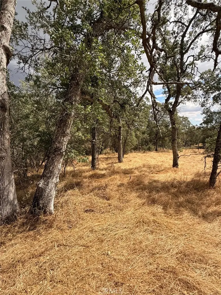 10357 Tulipan, Coulterville, CA 95311 - #2