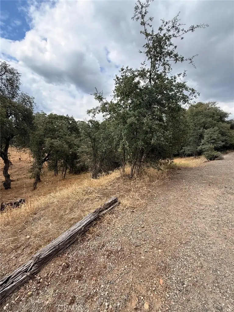 10357 Tulipan, Coulterville, CA 95311 - #3