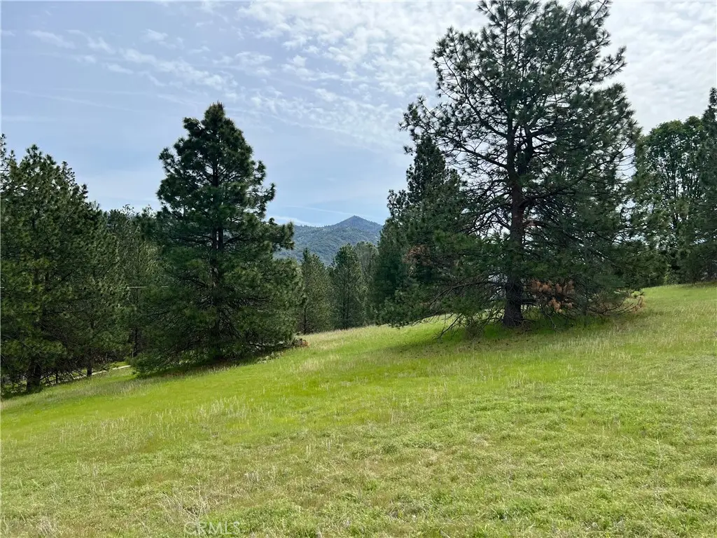 0 Watt Road, Mariposa, CA 95338 - #1