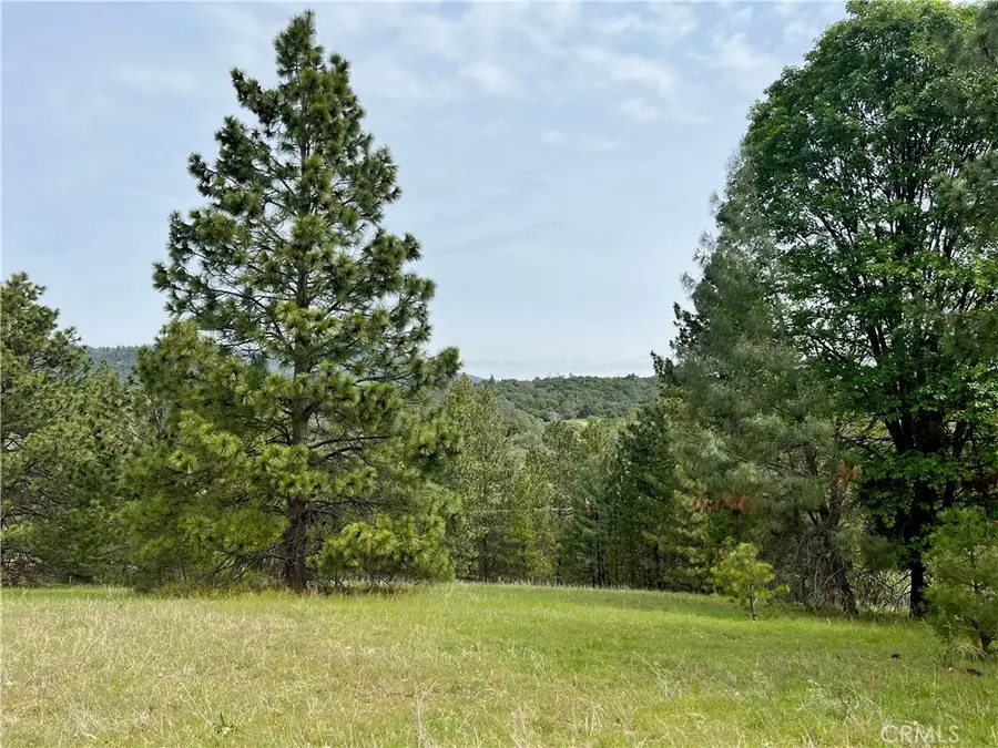 0 Watt Road, Mariposa, CA 95338 - #3