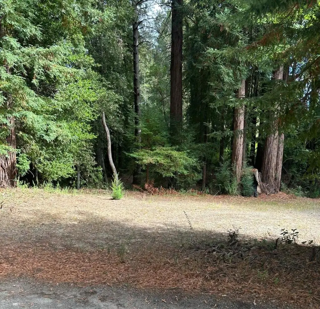 104 Mcpherson Court, Boulder Creek, CA 95006 - #1