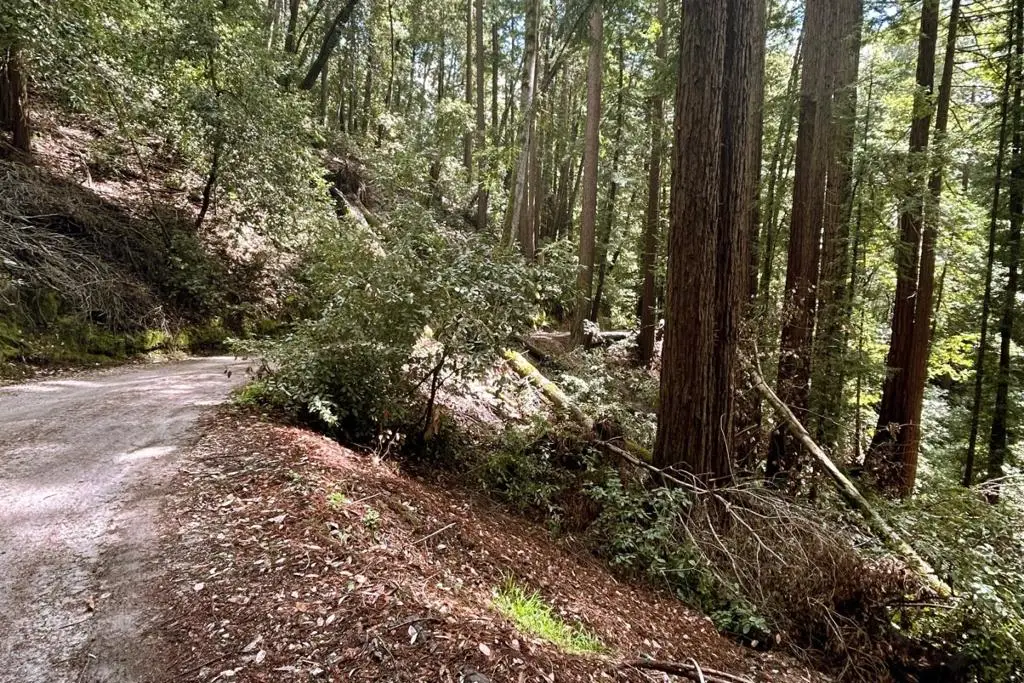 0 Hermit Ranch Road, Ben Lomond, CA 95005 - #1