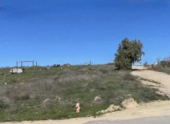 0 San Benito, San Lucas, CA 93954 - #2