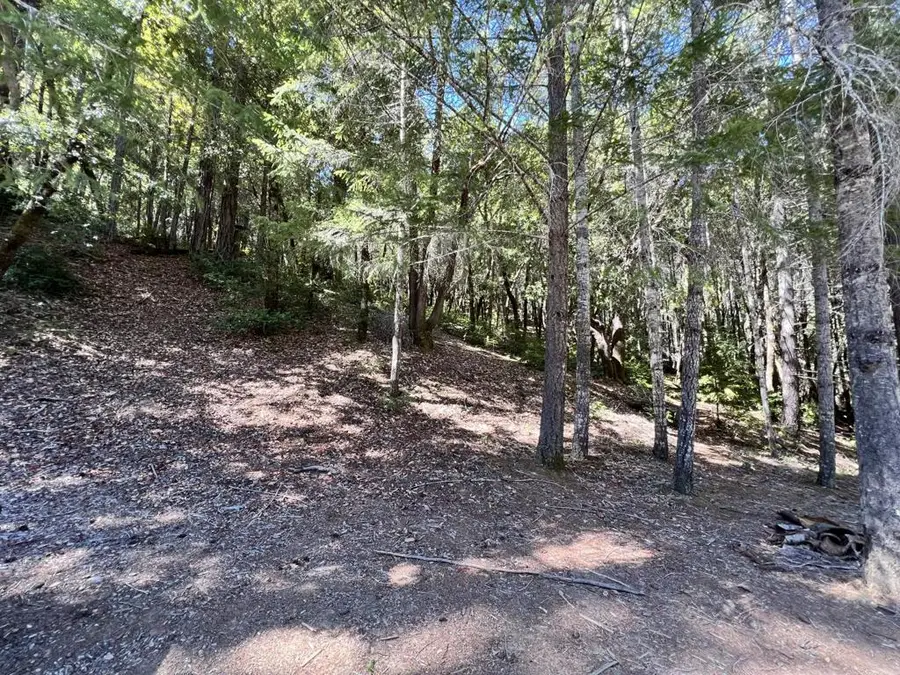 24858 Clover Road, Willits, CA 95490 - #3
