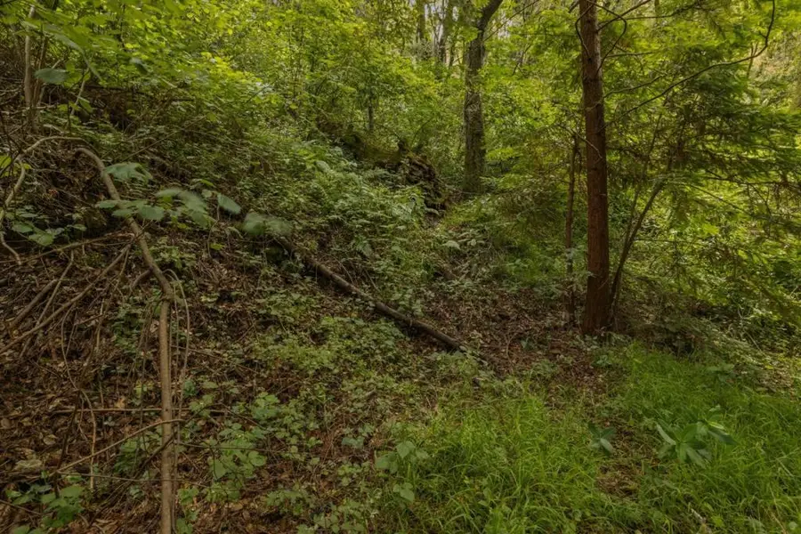 Cathedral Drive, Aptos, CA 95003 - #2