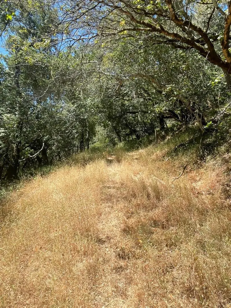 0 Crystal Springs Rd, Hillsborough, CA 94010 - #2