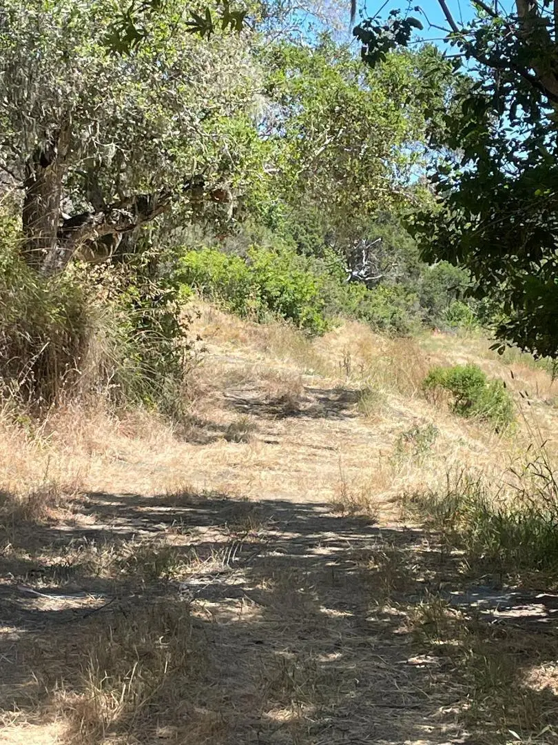 0 Crystal Springs Rd, Hillsborough, CA 94010 - #3