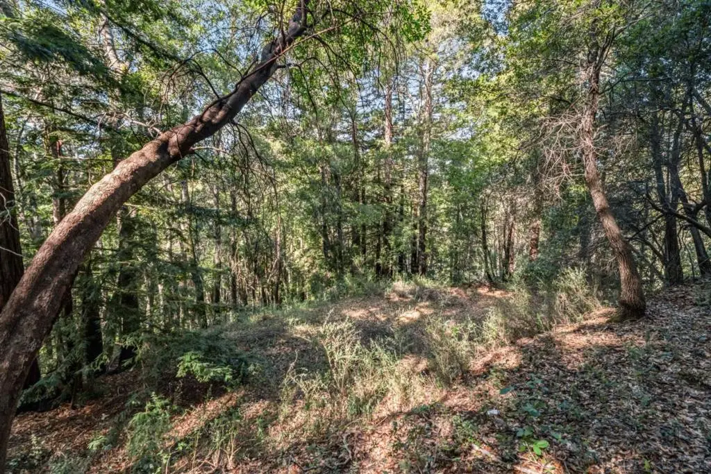 Volver Avenue, Felton, CA 95018 - #1