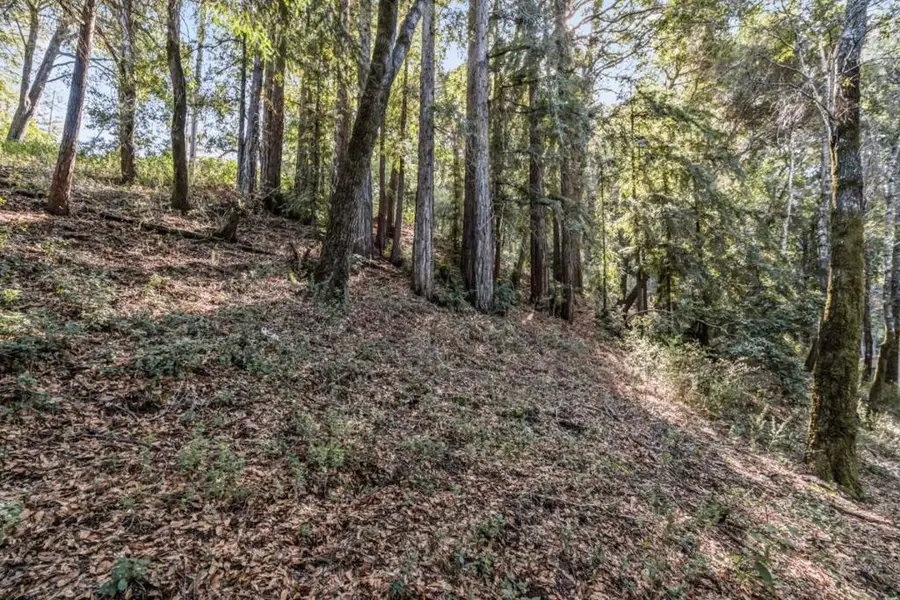 Volver Avenue, Felton, CA 95018 - #2