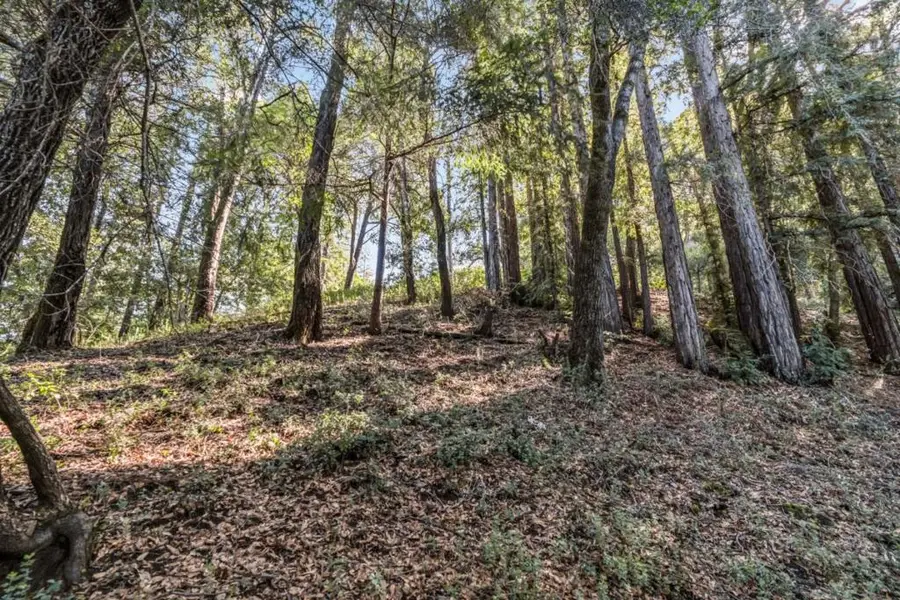 Volver Avenue, Felton, CA 95018 - #3