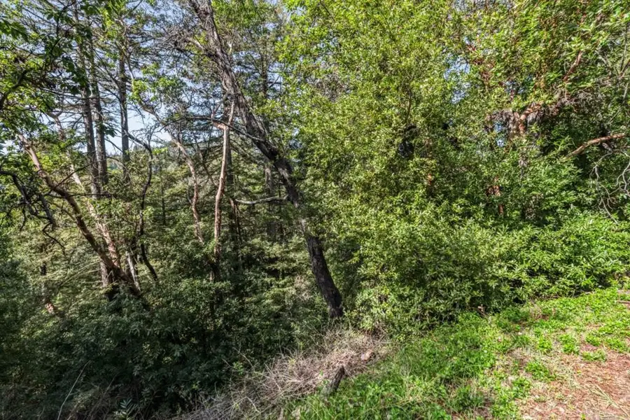 Lake Blvd And Lot 38 Lakeview, Felton, CA 95018 - #2