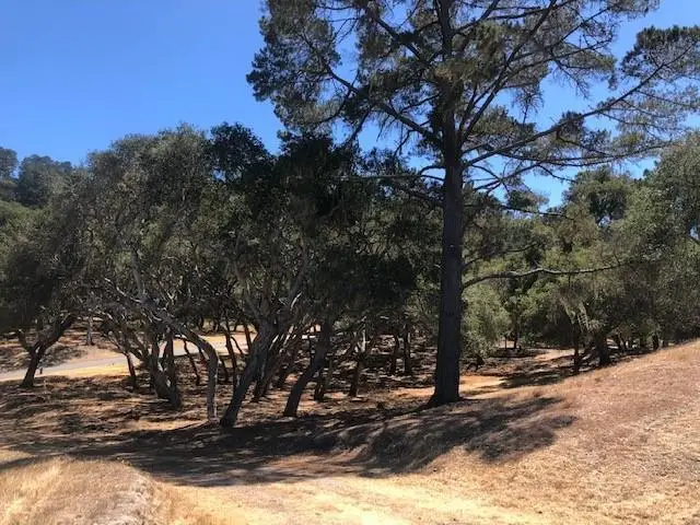 7735 Paseo Venado (lot 82), Monterey, CA 93940 - #1