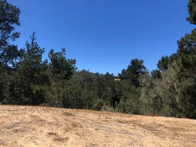 7735 Paseo Venado (lot 82), Monterey, CA 93940 - #3