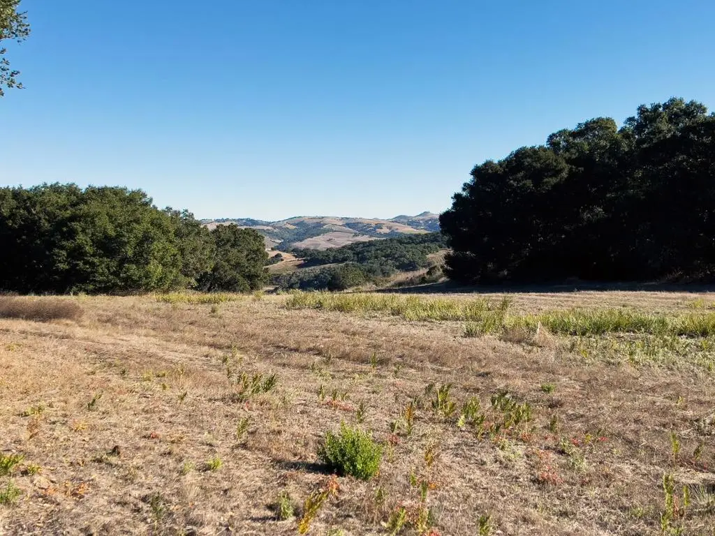7 Holding Field Run, Carmel, CA 93923 - #1