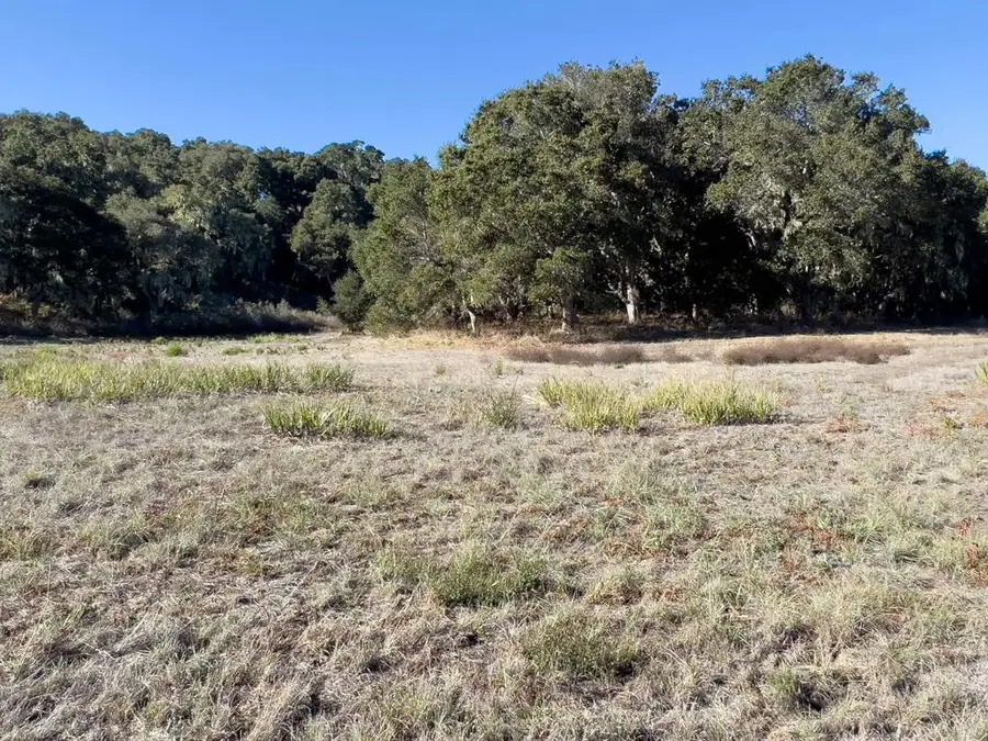 7 Holding Field Run, Carmel, CA 93923 - #3