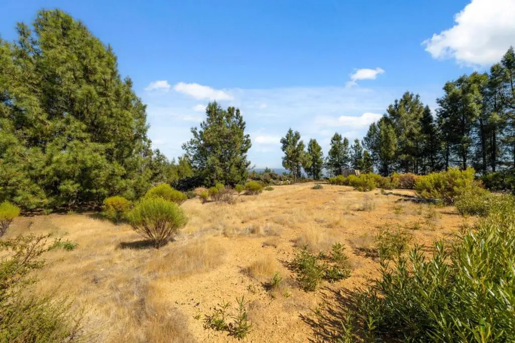 Summit Road, Los Gatos, CA 95033 - #1