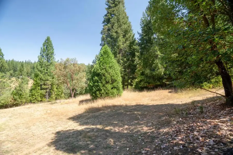 26131 Golf Links Drive, Pioneer, CA 95666 - Image #2