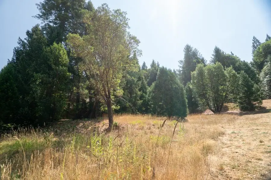 26131 Golf Links Drive, Pioneer, CA 95666 - Image #3