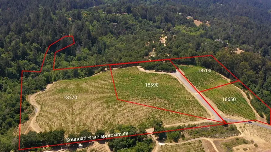 18570 Black Road, Los Gatos, CA 95033 - #2